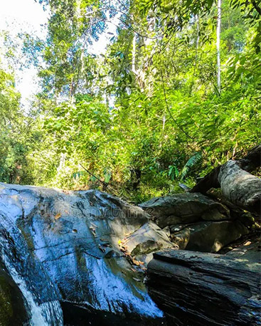 Tour Operator Sri Lanka